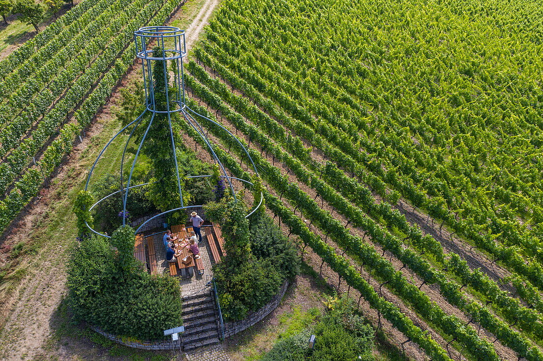 Aerial view of people enjoying a wine tasting under the world's largest Bockstüten wine bottle replica in the vineyard of the Scheller Bockstüten Winery, Kolitzheim Stammheim, Franconia, Bavaria, Germany, Europe