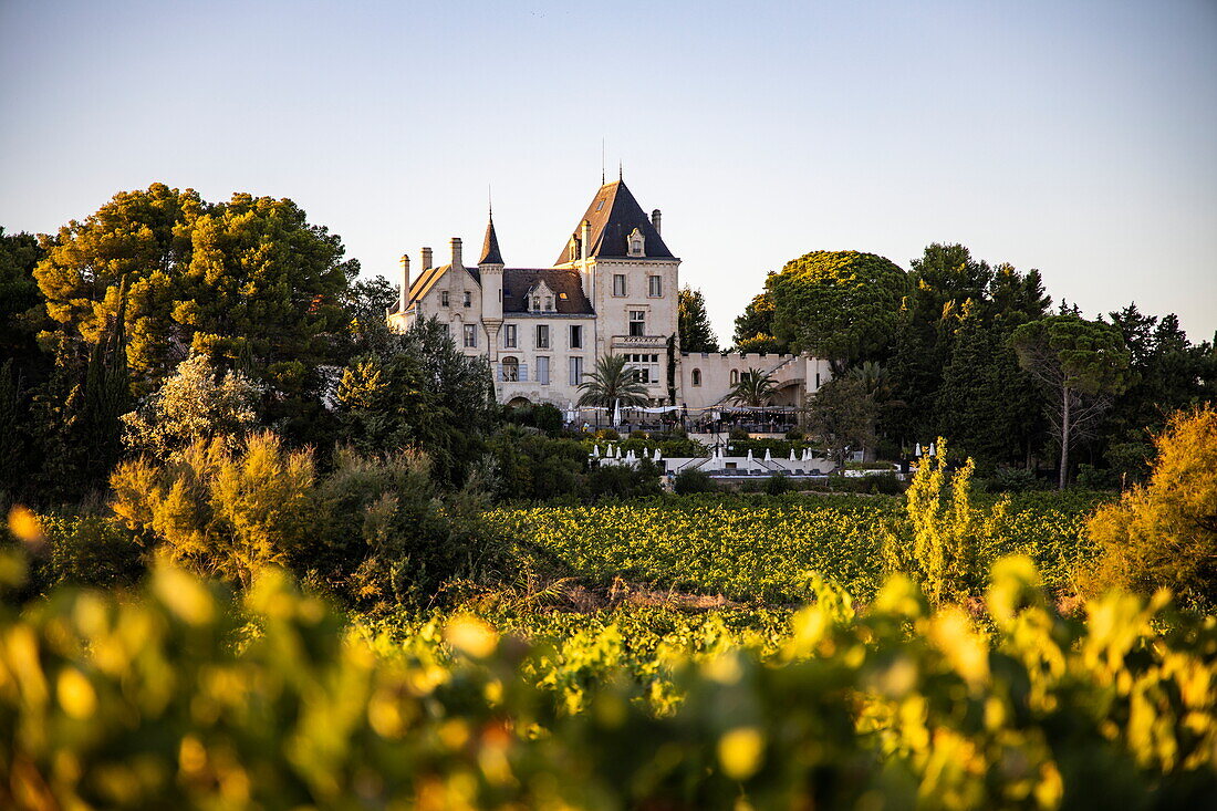 Chateau Les Carrasses Weingut, Hotel und Restaurant, in der Nähe von Capestang, Hérault, Okzitanien, Frankreich, Europa
