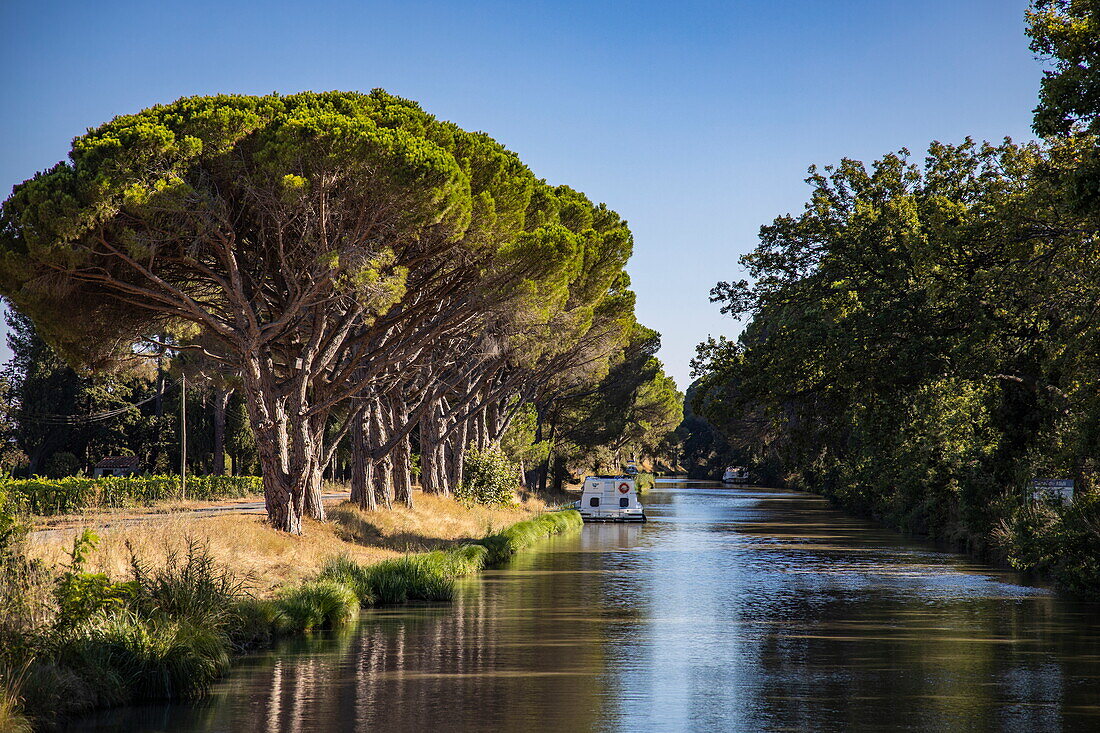 Von Bäumen gesäumter Canal du Midi mit Hausboot, Ouveillan, Aude, Okzitanien, Frankreich, Europa