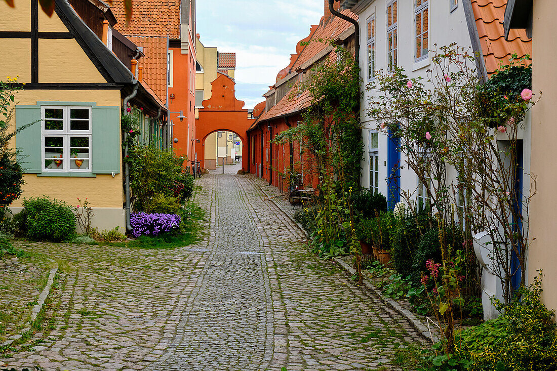 Historische Klostergebäude am Kloster zum Heiligen Geist in der Weltkulturerbe- und Hansestadt Stralsund, Mecklenburg-Vorpommern, Deutschland