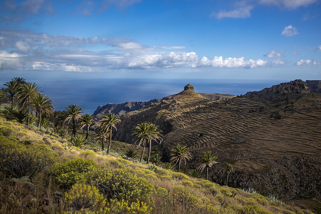 Palm trees, mountains, valleys and sea, San Sebastián de La Gomera, La Gomera, Canary Islands, Spain, Europe