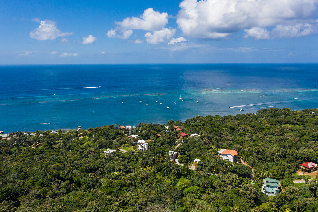 Aerial view of coastline and West Bay, Roatan, Bay Islands, Honduras, Central America