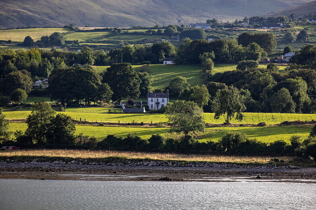 Haus in Landschaft, Wiesen und Bäume an der Küste, Warrenpoint, County Down, Nordirland, Vereinigtes Königreich, Europa