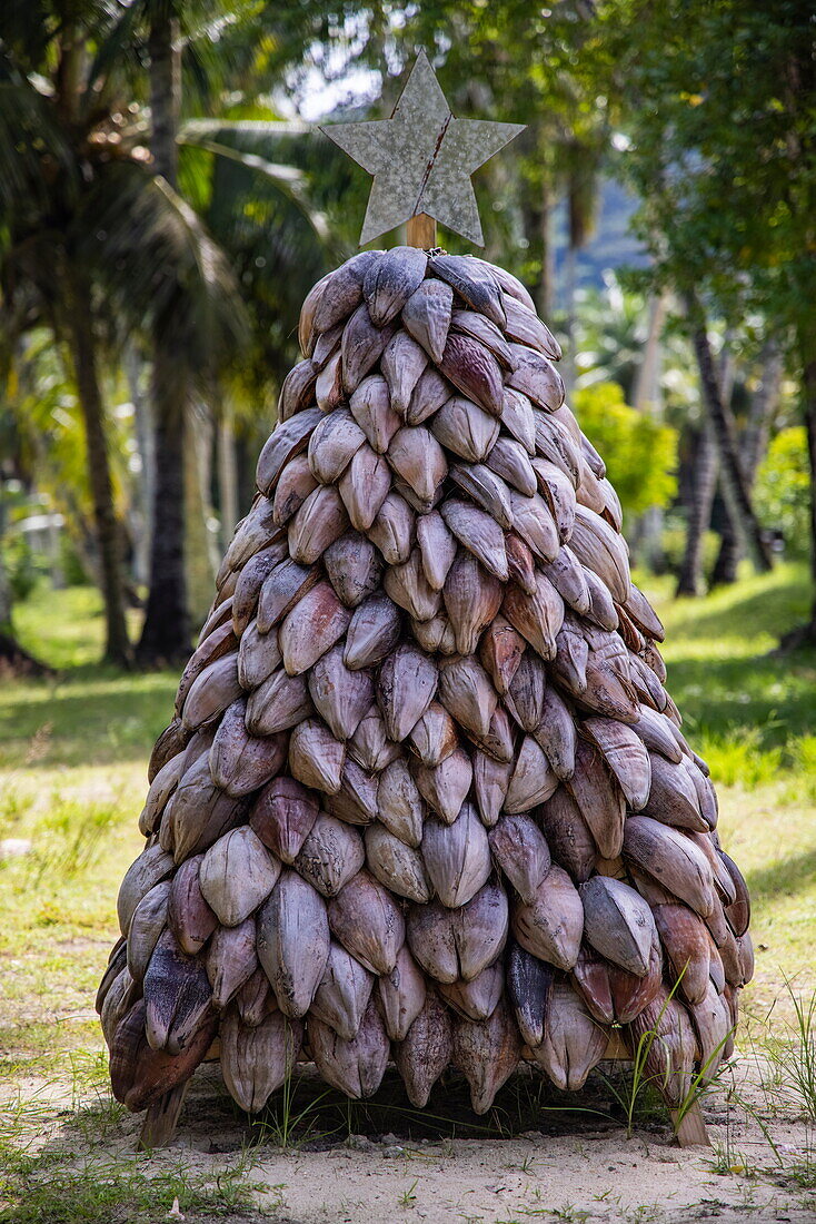 Weihnachtsbaum aus Kokosnussschalen im L'Union Estate, La Digue Island, Seychellen, Indischer Ozean