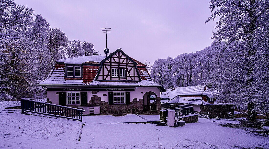 Berggaststätte &quot;Milchhäuschen&quot; in the Siebengebirge on a morning in winter, North Rhine-Westphalia, Germany