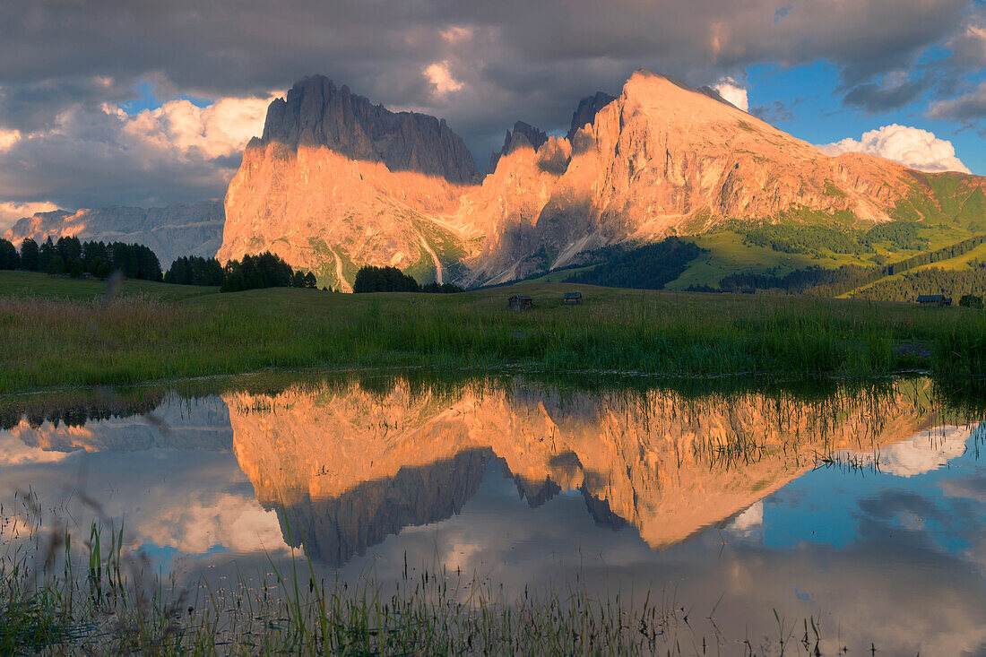 Sassolungo and Sassopiatto reflected in a small lake at sunset on Alpe di Siusi, South Tyrol, Italy.