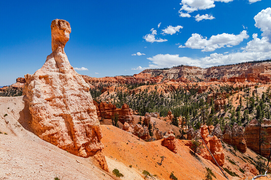 Scenic landscape and alien rocks on the Queens Garden Trail in must-see Bryce Canyon, Utah, United States
