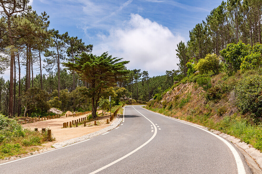 Eine Bergstraße durch den idyllischen Ausflugsziel Parque Natural de Sintra-Cascais bei Lissabon, Portugal