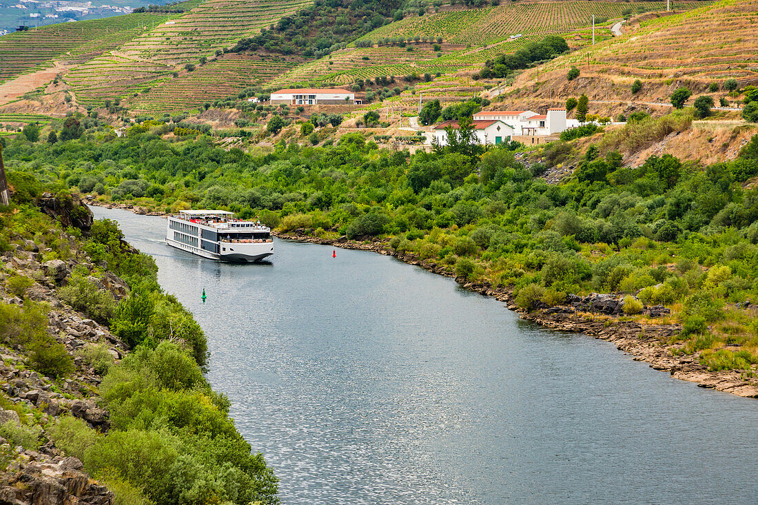 Ein Kreuzfahrtschiff auf dem Fluss Douro im Weinbaugebiet Alto Douro, Regua, Portugal