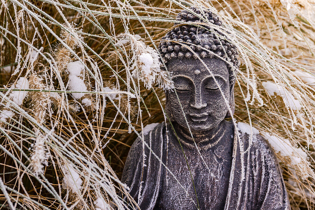 Nahaufnahme einer Buddha-Statue mit Eis und Schnee im Winter im Garten, Deutschland