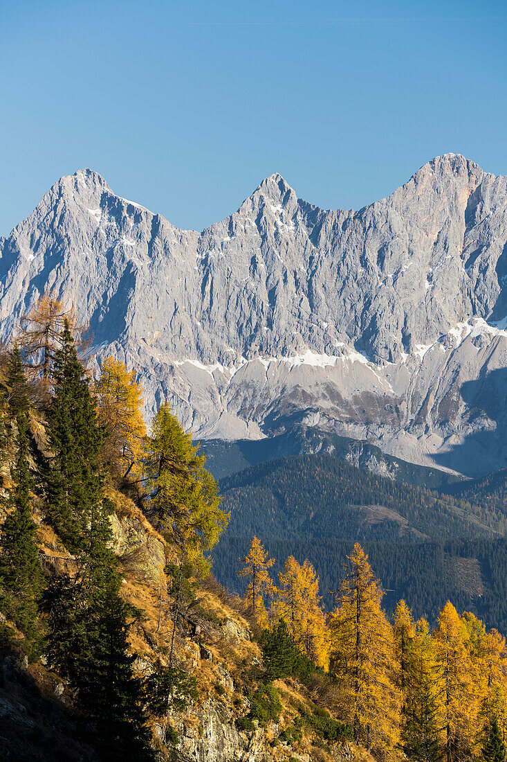 Blick auf den Dachstein über das Ennstal von der Gasselhöhe, Schladminger Tauern, Steiermark, Österreich