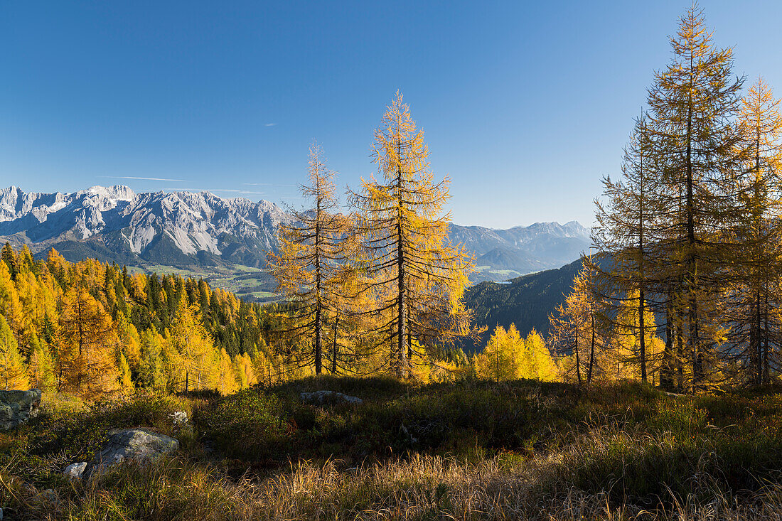 Blick auf den Dachstein über das Ennstal von der Gasselhöhe, Schladminger Tauern, Steiermark, Österreich