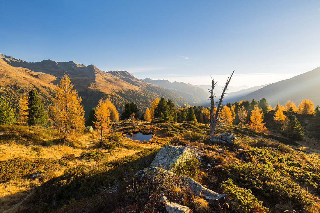 View of the Lasörling Group across the Defereggen Valley, Osttirol, Tirol, Austria