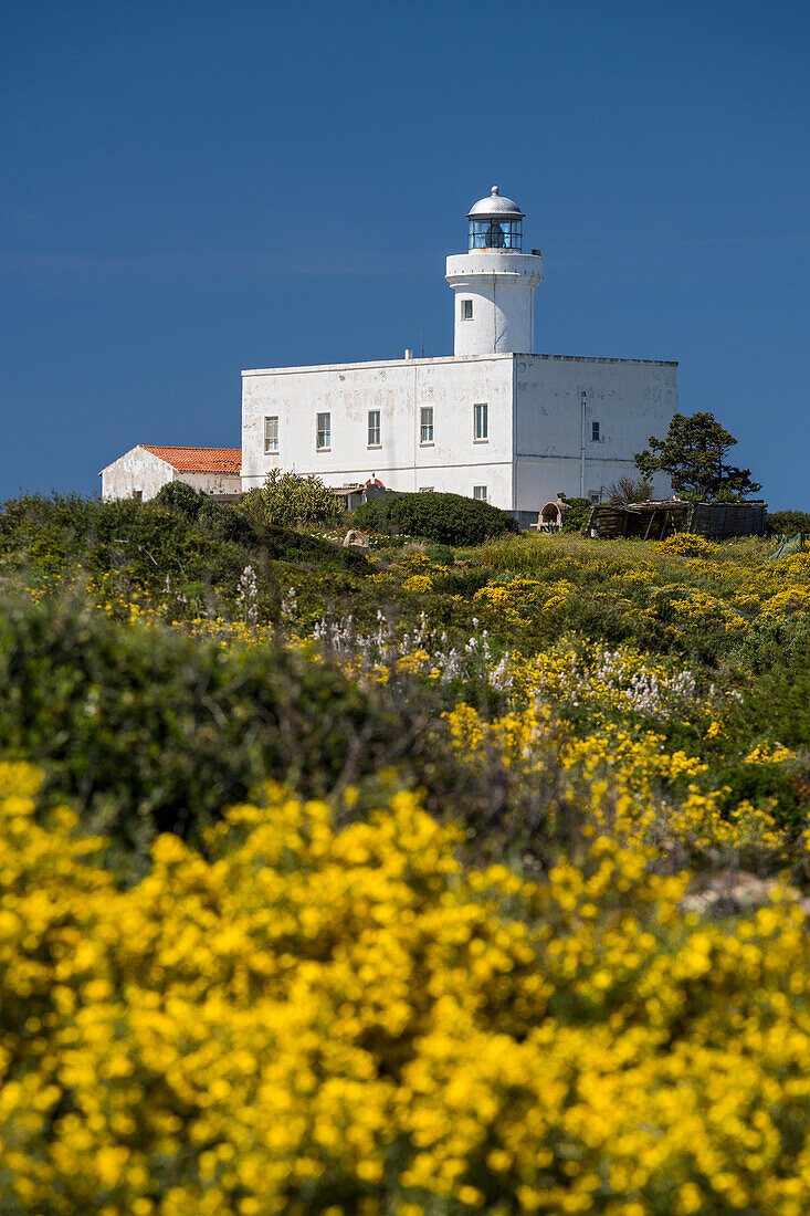 Faro Capo Ferro, Gallura, Sardinien, Italien