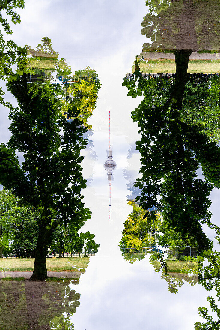 The Berlin TV tower framed by trees.