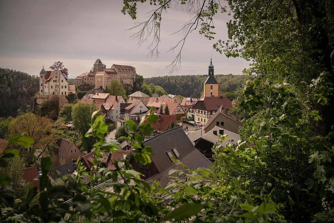 Blick auf die Burg von Hohnstein, Hohnstein, Landstadt in Sachsen, Landkreis Sächsische Schweiz-Osterzgebirge, Sachsen, Deutschland, Europa