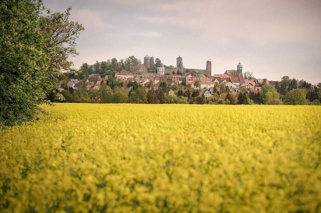 Blick auf Burg Stolpen, Kleinstadt in Sachsen, Landkreis Sächsische Schweiz-Osterzgebirge, Sachsen, Deutschland, Europa