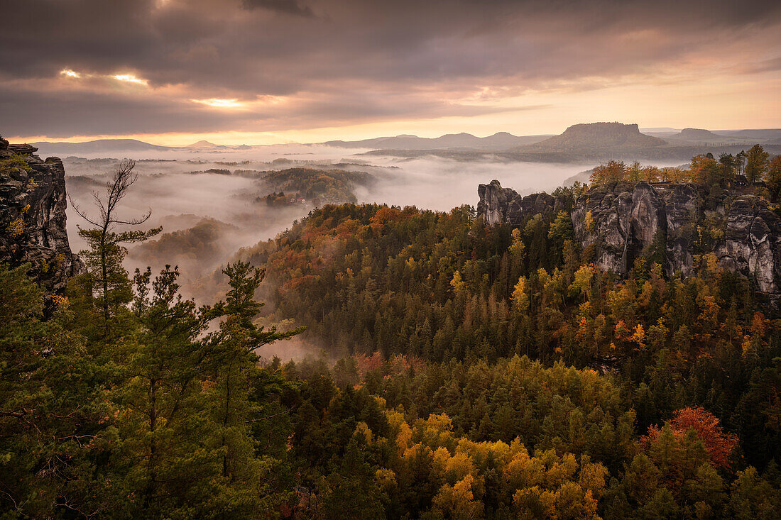 Panoramablick über das herbstliche Nebelmeer zum Tafelberg Lilienstein in der Sächsischen Schweiz, Elbsandsteingebirge, Sachsen, Deutschland