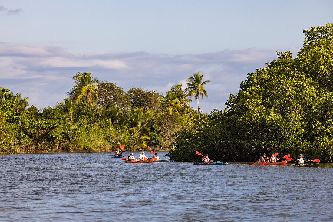 Sea kayak excursion for passengers of expedition cruise ship World Voyager (nicko cruises), Puerto Jiménez, Puntarenas, Costa Rica, Central America