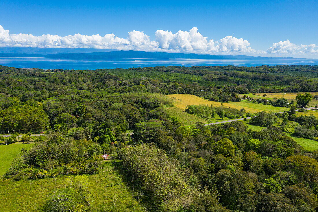 Luftaufnahme von üppiger Landschaft mit Meer in der Ferne, in der Nähe von Barrigones, Puntarenas, Costa Rica, Mittelamerika