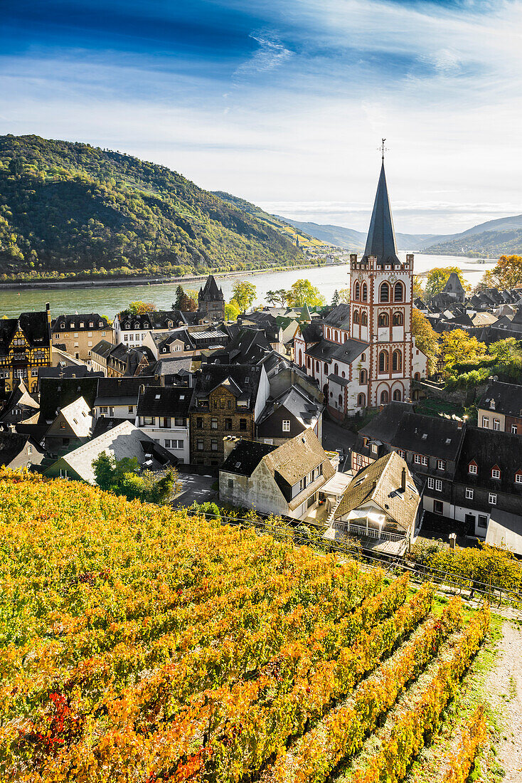 Bacharach, Upper Middle Rhine Valley, UNESCO World Heritage Site, Rhine, Rhineland-Palatinate, Germany