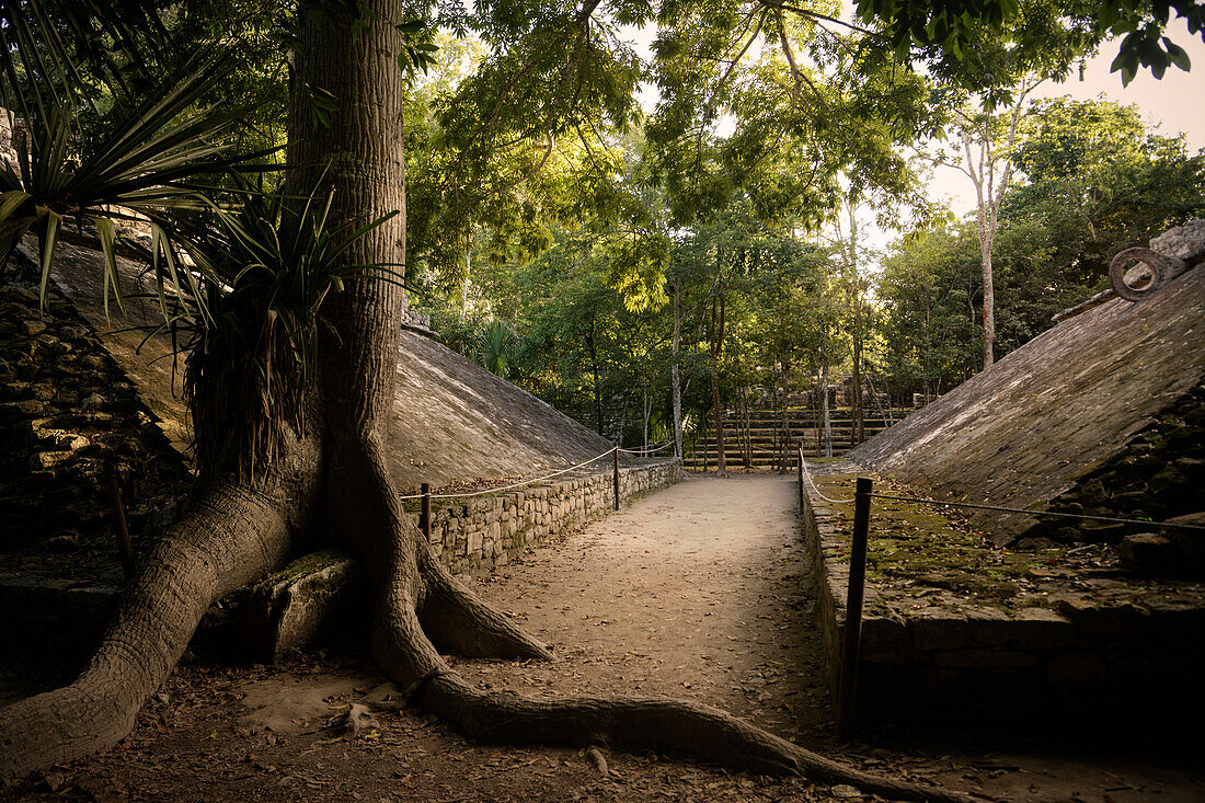 Ball court &quot;Juego de Pelota y Primera estela&quot; in the Mayan ruins of Cobá, Yucatán, Mexico, North America, Latin America