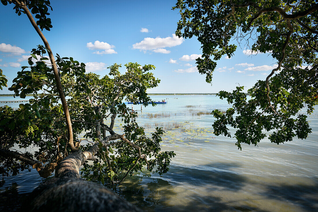 Lagune von Bacalar, Quintana Roo, Yucatán, Mexiko, Nordamerika, Lateinamerika, Amerika