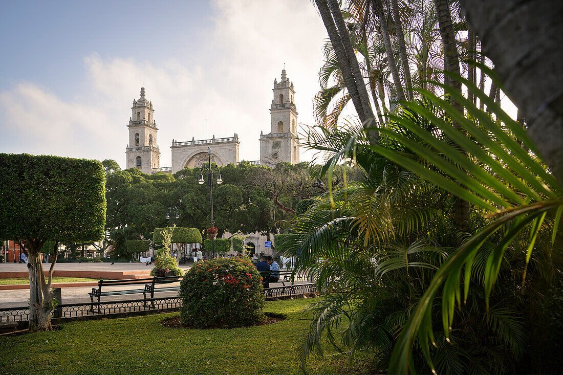 Blick vom Plaza Grande zur Kathedrale 'Cathedral de San Ildefonso', Mérida, Hauptstadt Yucatán, Mexiko, Nordamerika, Lateinamerika, Amerika