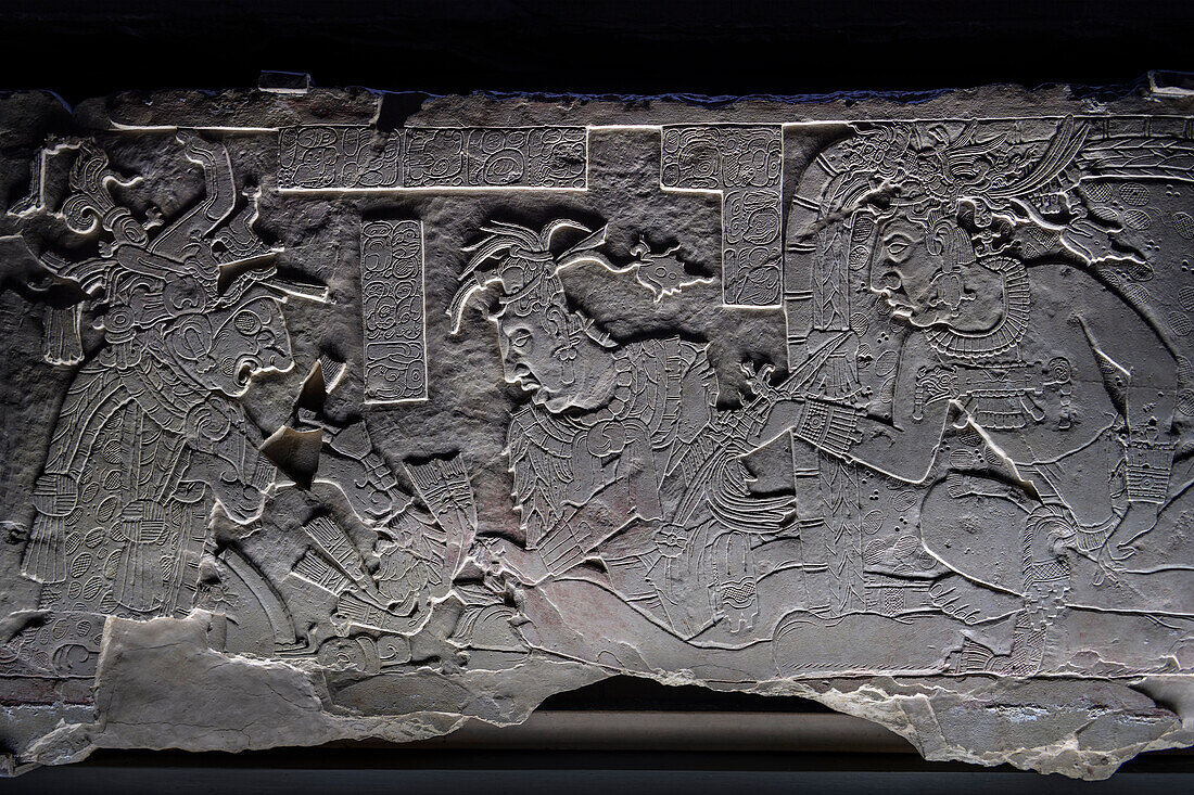 Stein Relief im Museum Museo de Sitio de Palenque 'Alberto Ruz L'Huillier', archäologische Zone von Palenque, Maya Metropole, Chiapas, Mexiko, Lateinamerika, Nordamerika, Amerika