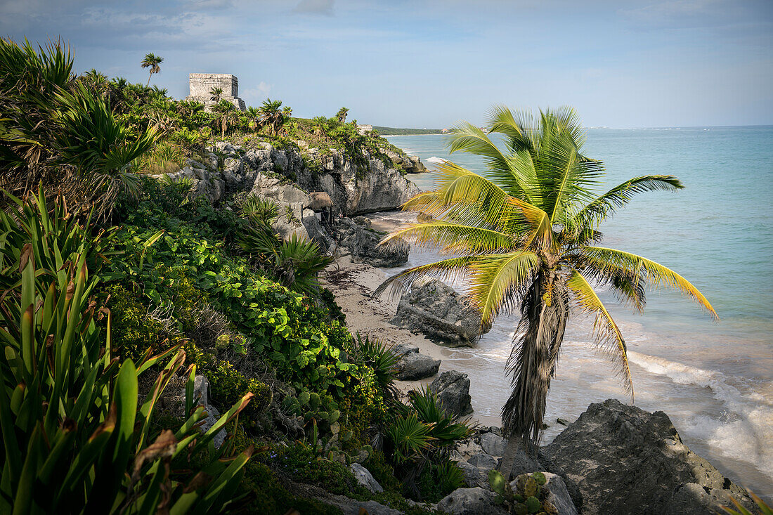View over Playa Ruinas to the ruins of &quot;El Castillo&quot;, Archaeological Zone of Tulum, Quintana Roo, Mexico, West Indies, Caribbean Sea, North America, Latin America