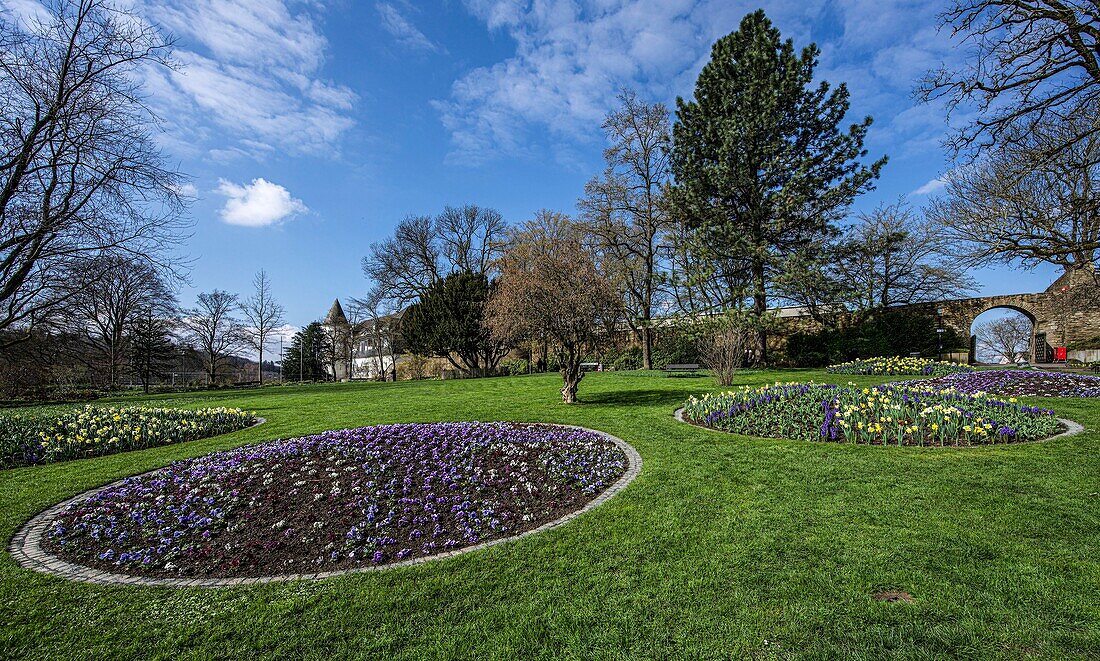Blumenbeete im Schlosspark von Siegen, Oberes Schloss, Nordrhein-Westfalen, Deutschland