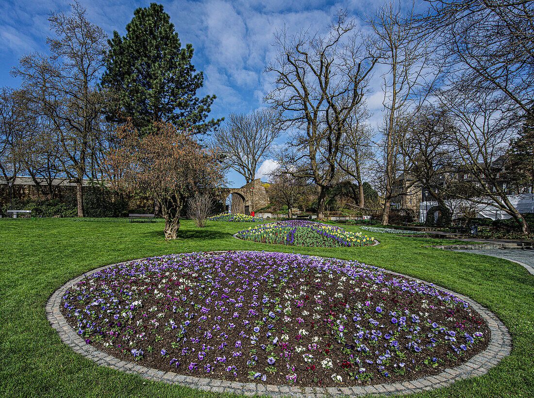 Blumembeete im Schlosspark von Siegen, Oberes Schloss, Nordrhein-Westfalen, Deutschland