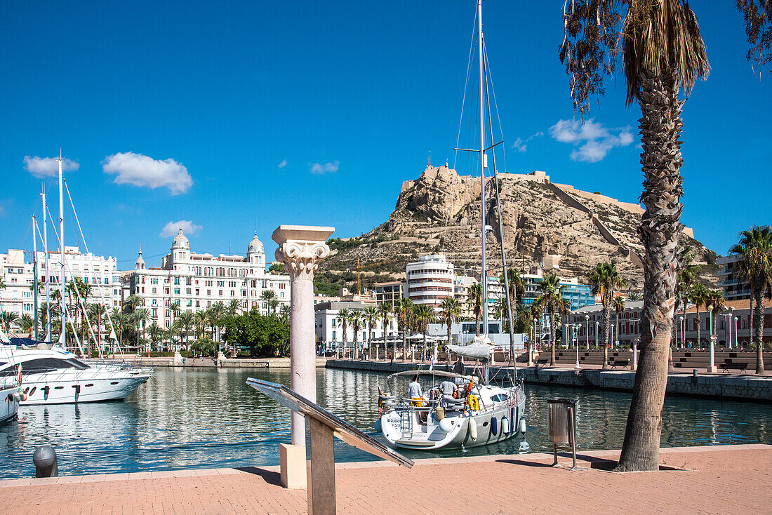 Alicante, Hafen mit Blick auf Passeig Esplanada u. Burg Santa Barbara, Costa Blanca, Spanien