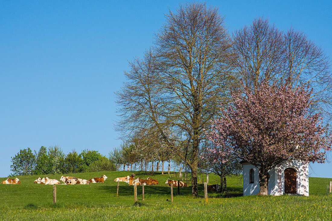 Augsburg countryside in spring on romantic street Bavaria, Deutscl.