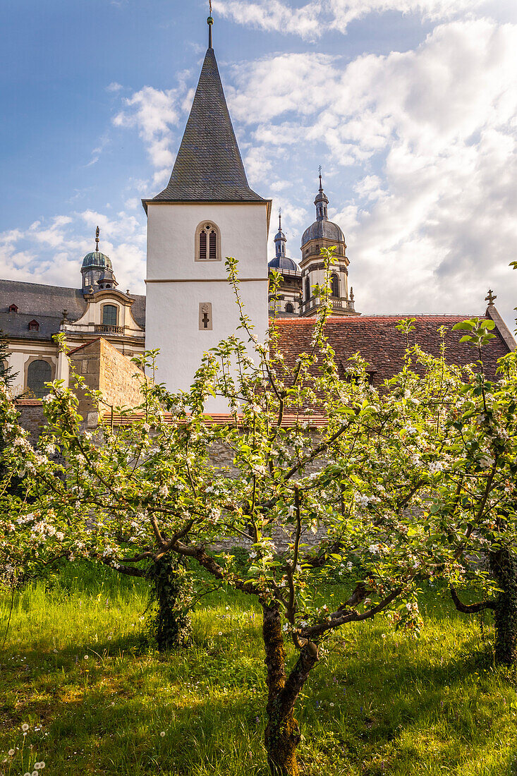 Orchards of Schöntal Monastery, Baden-Württemberg, Germany