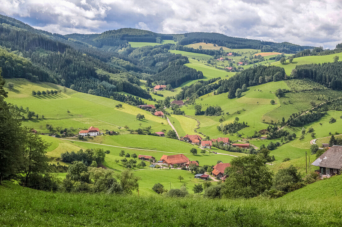 Blick in Dietental bei Mühlenbach, Schwarzwald, Baden-Württemberg, Deutschland