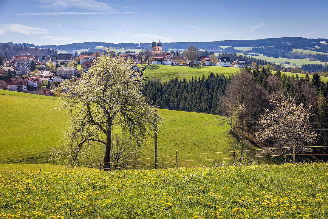 Blick auf St. Peter im Hochschwarzwald, Schwarzwald, Baden-Württemberg, Deutschland