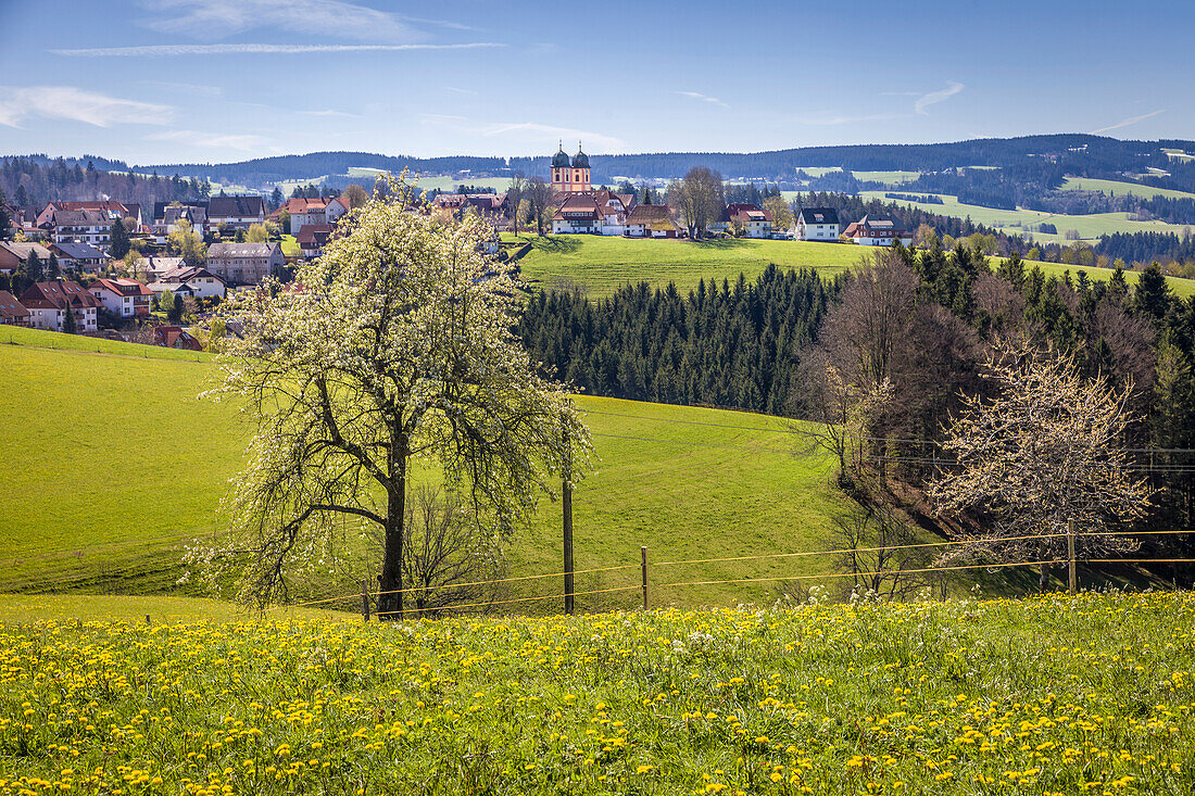 View of St. Peter in the Black Forest, Black Forest, Baden-Württemberg, Germany