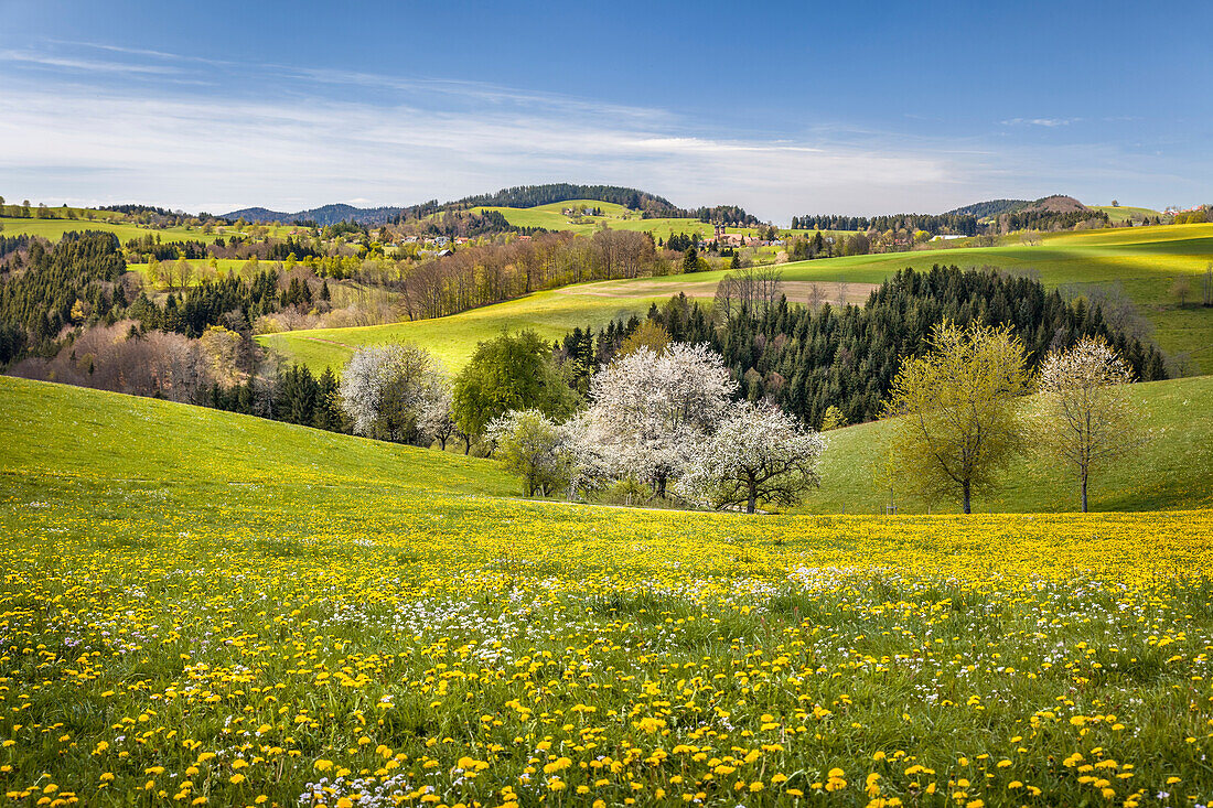 Blick auf St. Peter im Hochschwarzwald, Schwarzwald, Baden-Württemberg, Deutschland