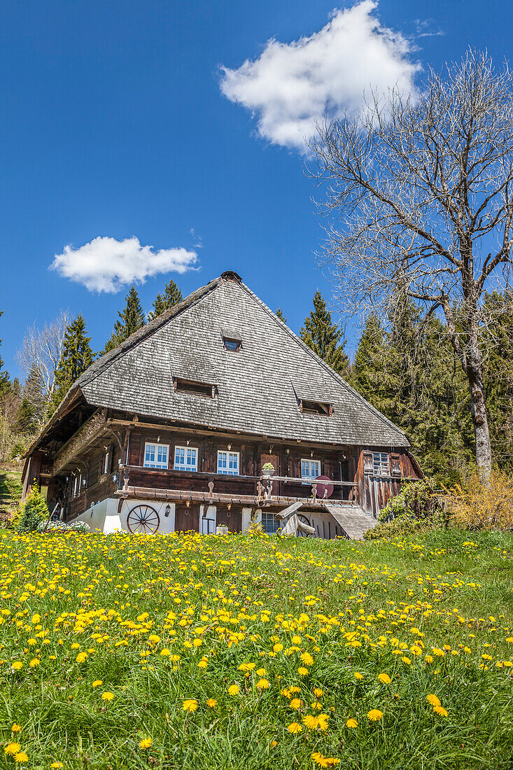 Historical Black Forest farm in Glottertal near St. Märgen, Black Forest, Baden-Württemberg, Germany