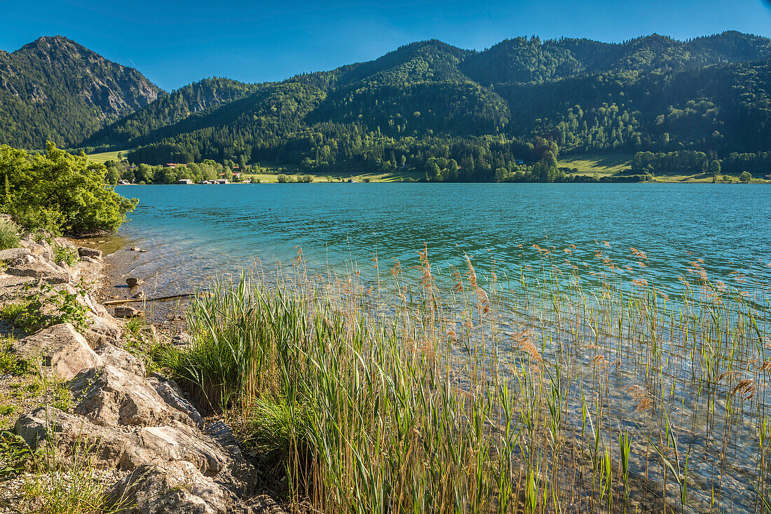Schliersee-Ufer und Blick nach Südwesten, bei Fischhausen, Schliersee, Oberbayern, Bayern, Deutschland