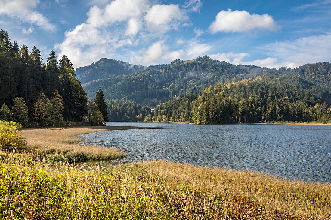 East shore of the Spitzingsee, Upper Bavaria, Bavaria, Germany