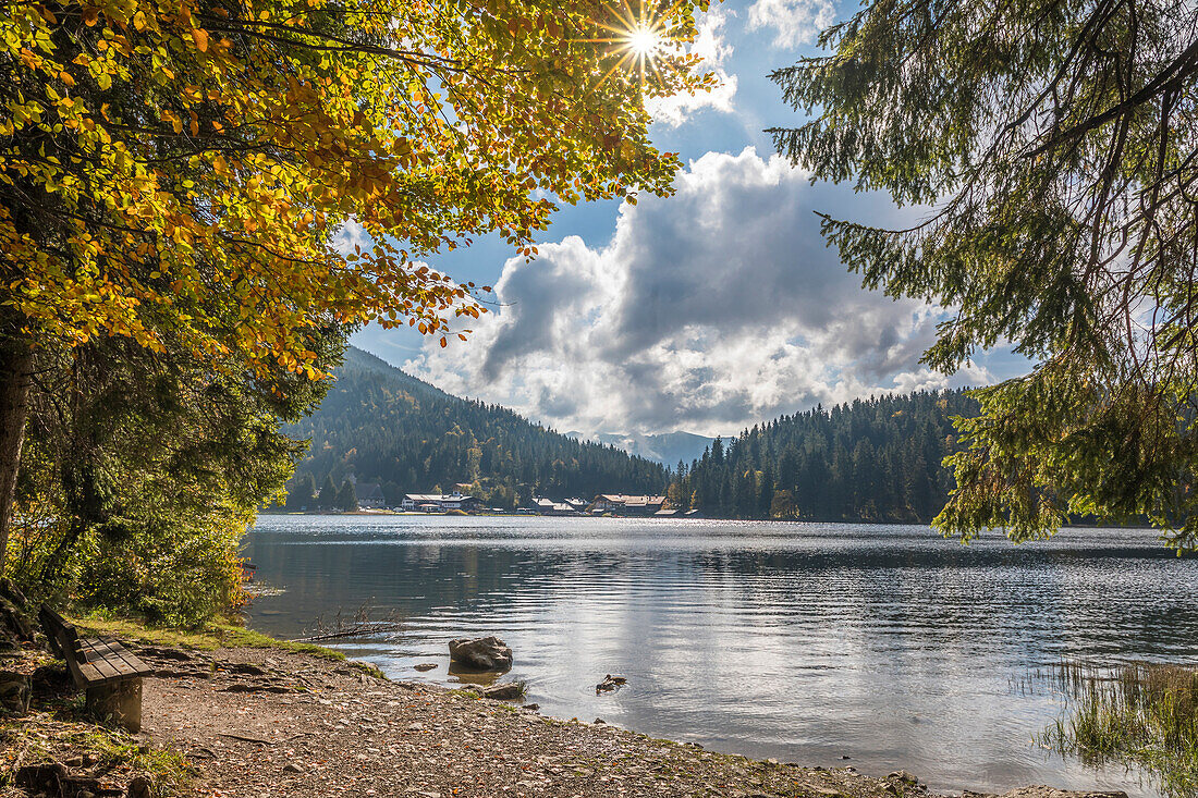 Herbststimmung am Westufer des Spitzingsees, Oberbayern, Bayern, Deutschland