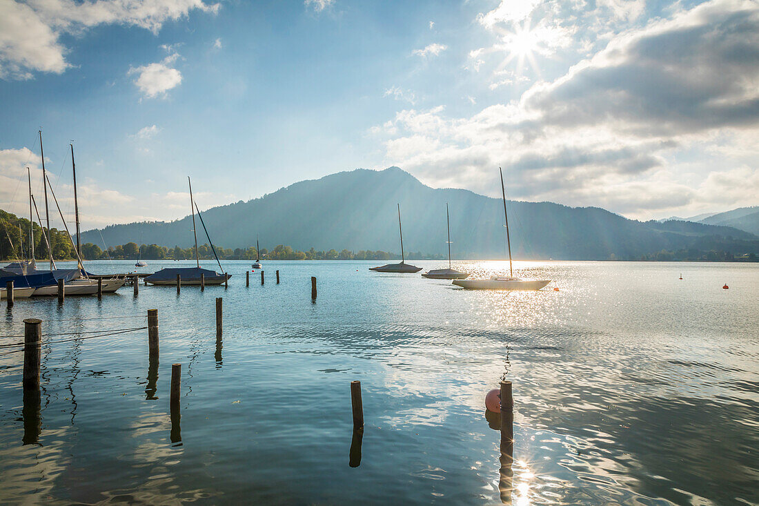 Sailing boats in Tegernsee harbour, Upper Bavaria, Bavaria, Germany