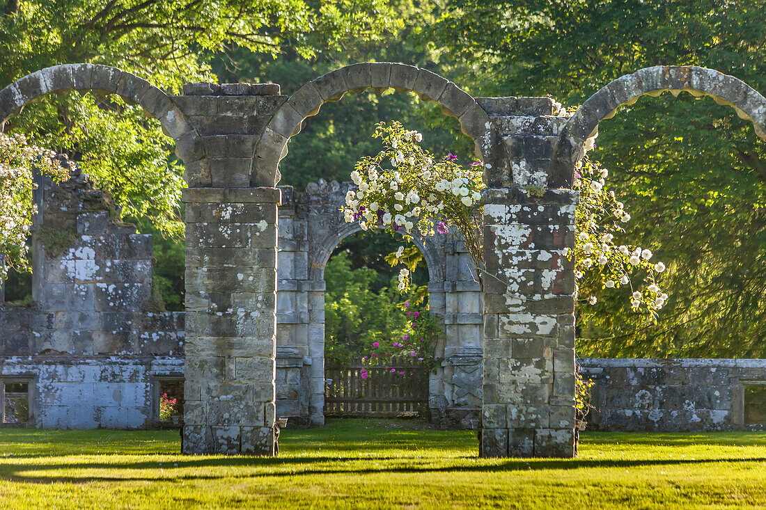 Klosterruinen Slaugham Abbey Ruin, West Sussex, England