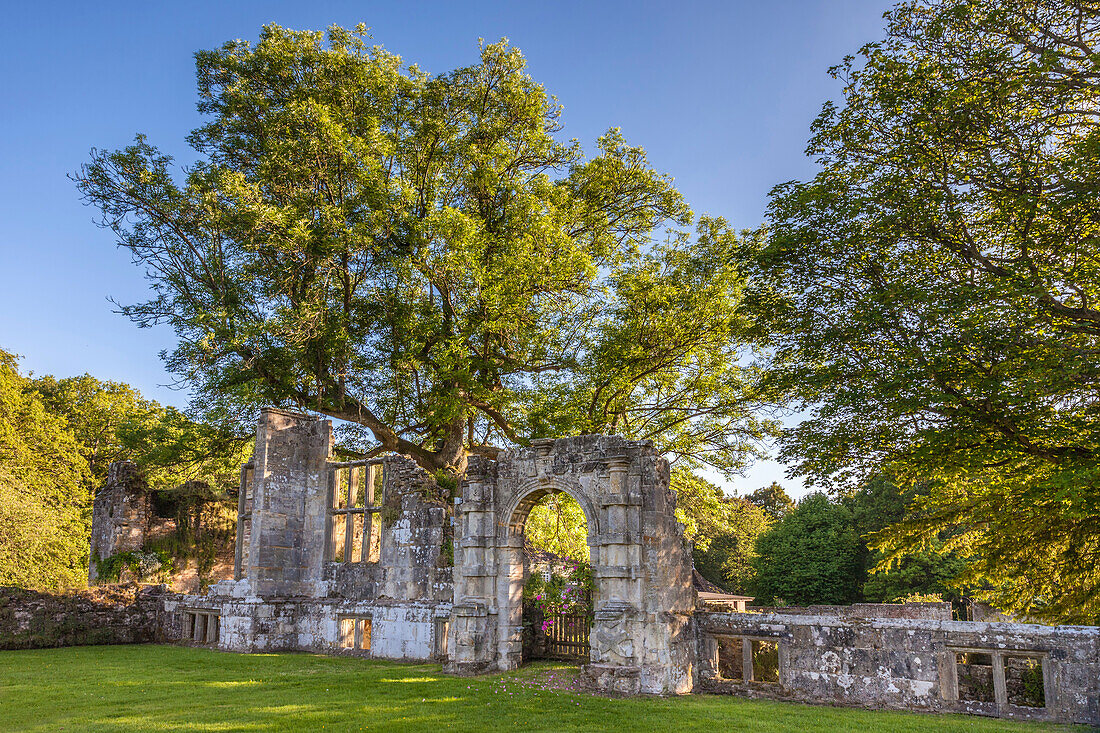 Slaugham Abbey ruins, West Sussex, England