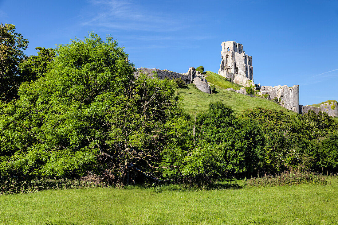 Burgruine in Corfe Castle, Dorset, England