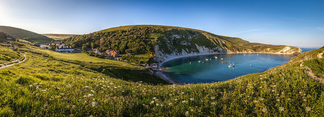 Blick auf die Küste und Bucht Lulworth Cove, Dorset, England