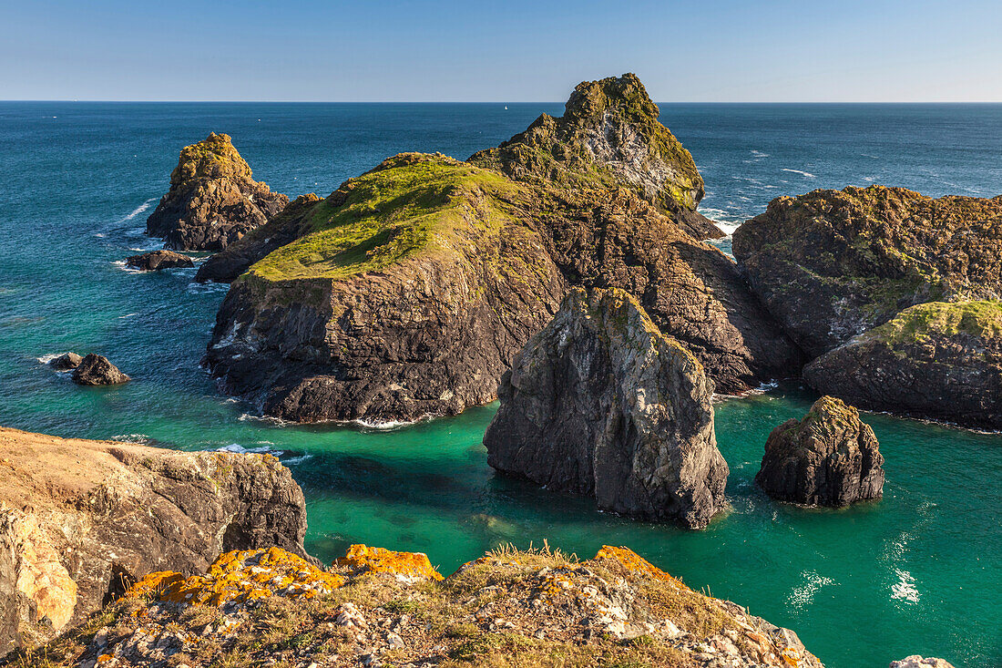 Felsenküste, Kynance Cove, Helston, Cornwall, England