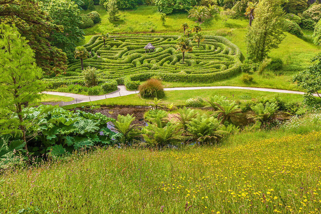 Labyrinth im Glendurgan Garden, Falmouth, Cornwall, England